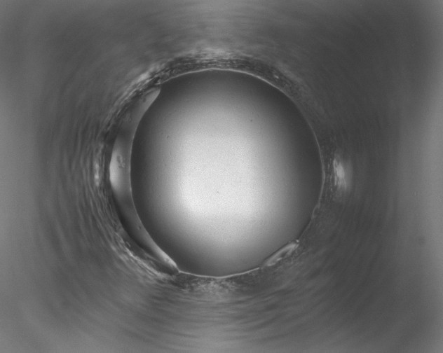 X0000078021348200611031445