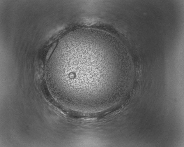 X0000078021349200611031445