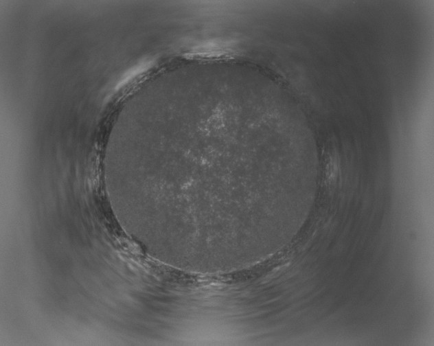 X0000078021350200611031445