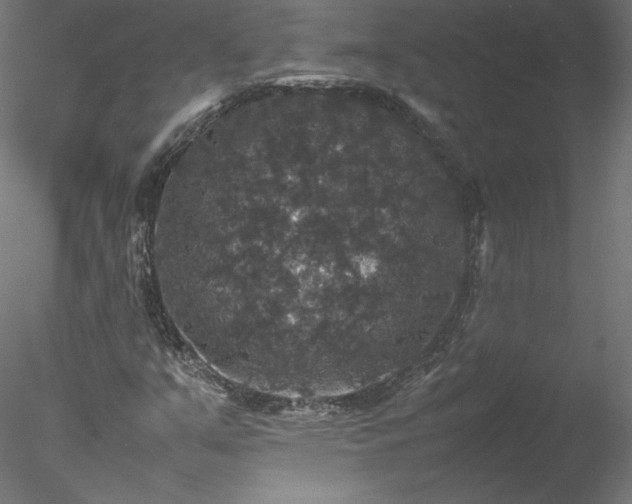 X0000078021351200611031445