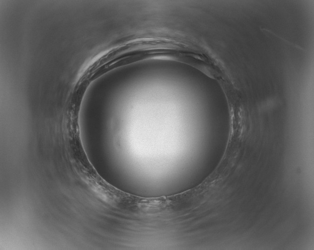 X0000078021352200611031445