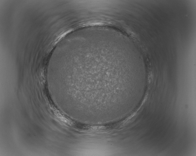 X0000078021353200611031445