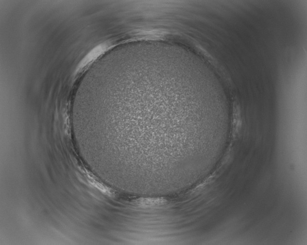 X0000078021354200611031445