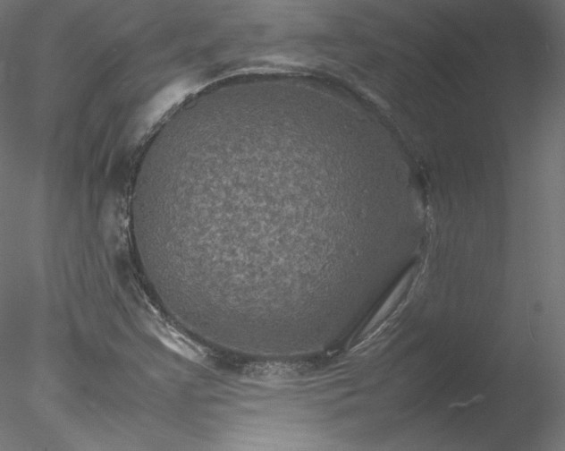 X0000078021355200611031445