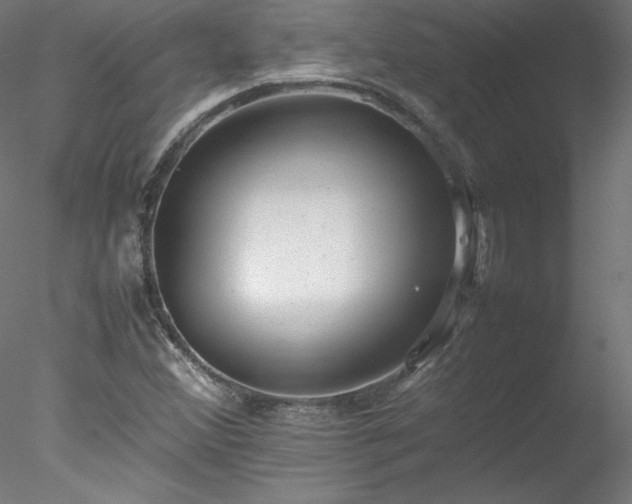 X0000078021356200611031445