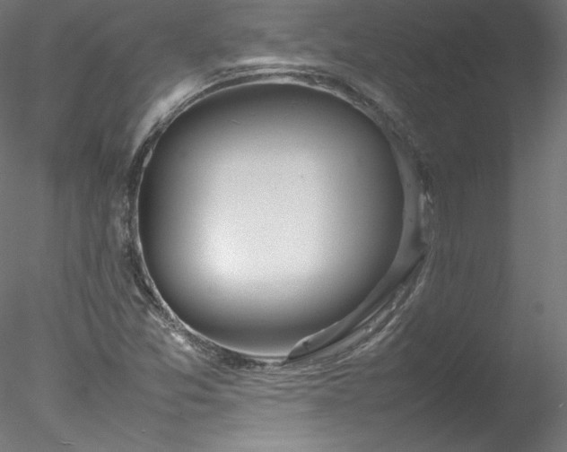 X0000078021357200611031445