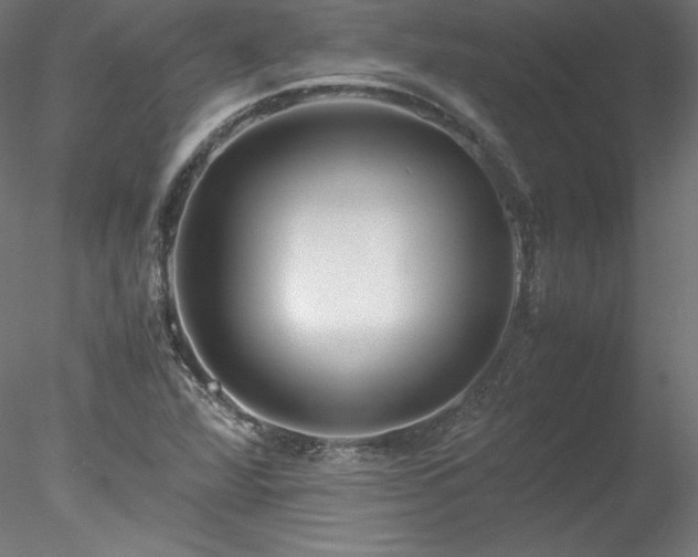 X0000078021360200611031445