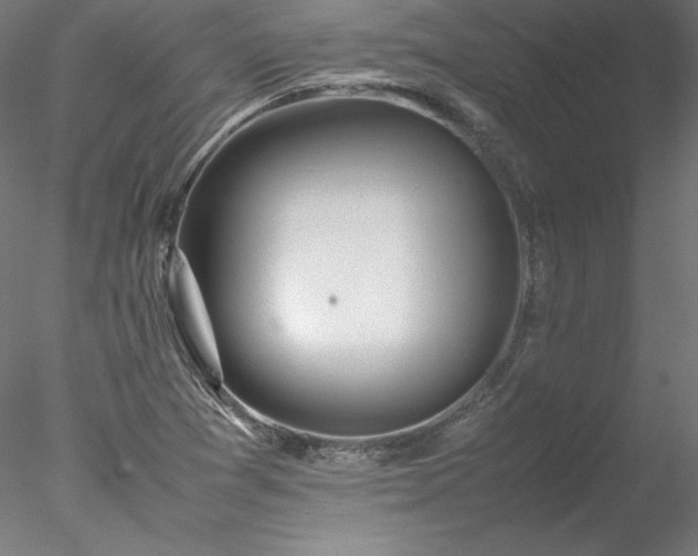 X0000078021361200611031445