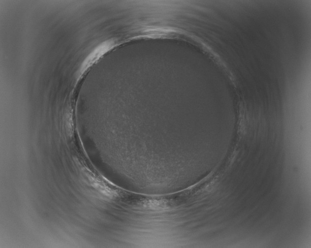 X0000078021362200611031445