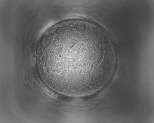 X0000078021363200611031445