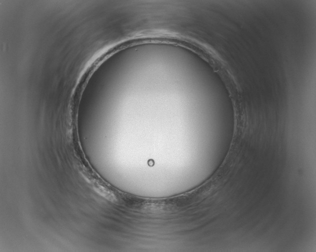 X0000078021364200611031445