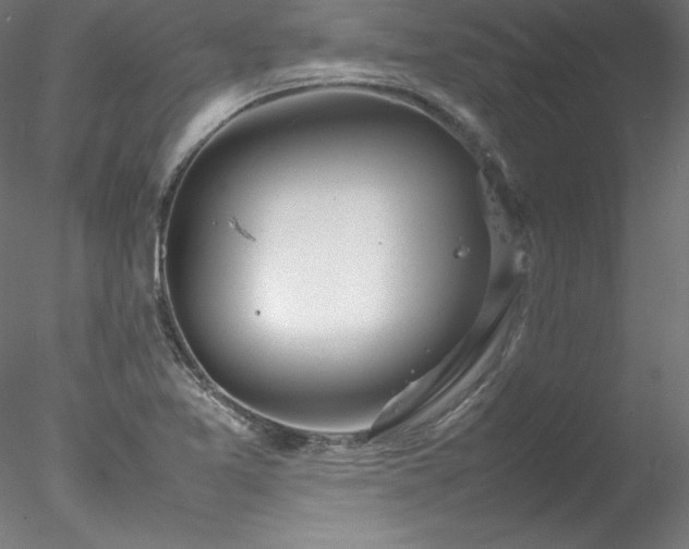 X0000078021365200611031445