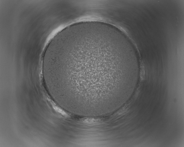 X0000078021366200611031445