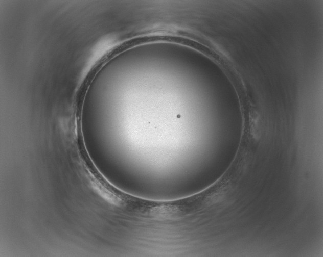 X0000078021368200611031445