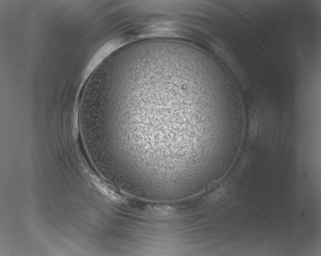 X0000078021370200611031445