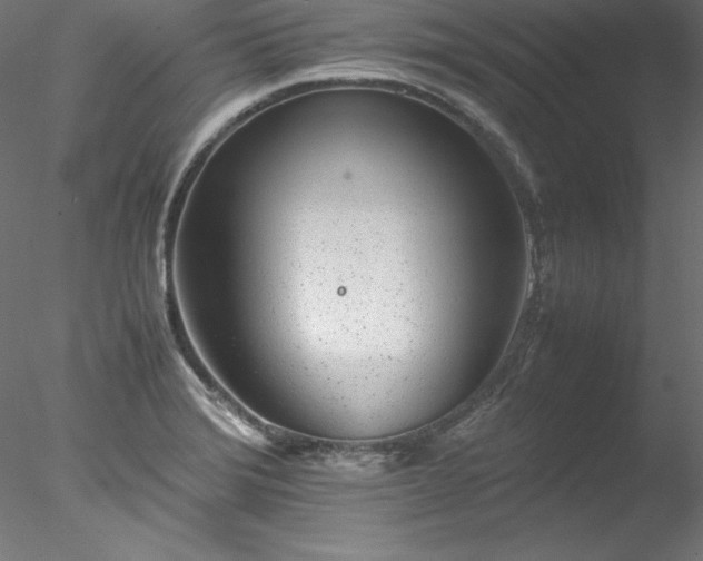 X0000078021372200611031445