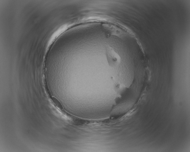 X0000078021373200611031445