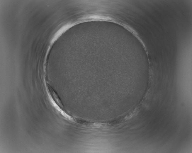 X0000078021381200611031445