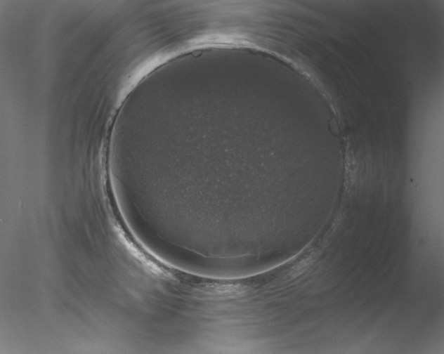 X0000078021382200611031445