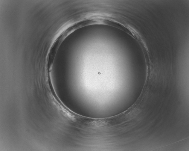 X0000078021384200611031445