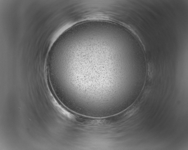 X0000078021387200611031445