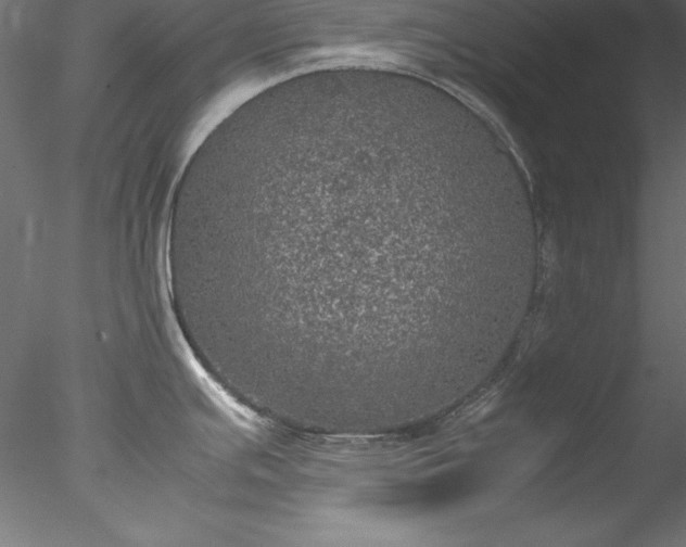 X0000078021391200611031445