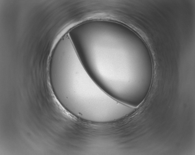 X0000078021392200611031445