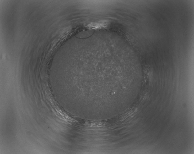 X0000078021393200611031444