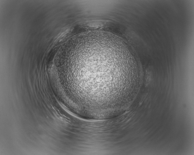 X0000078021394200611031444