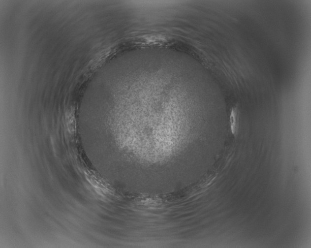 X0000078021395200611031444