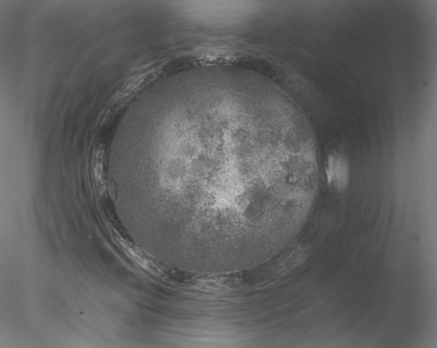 X0000078021396200611031444