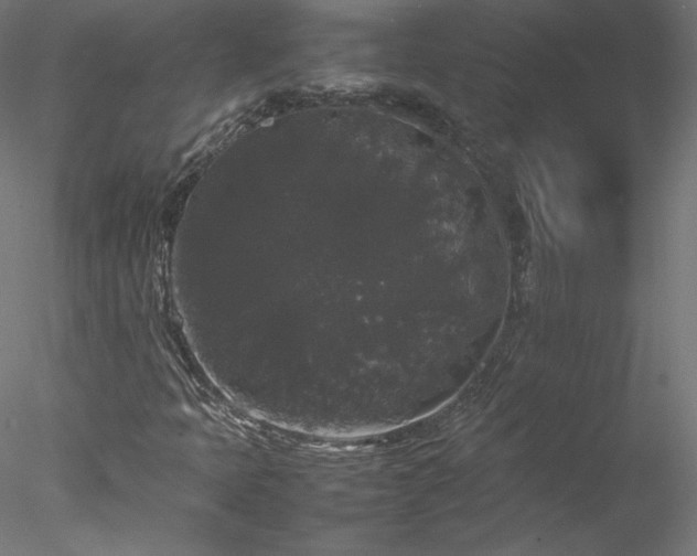 X0000078021397200611031444