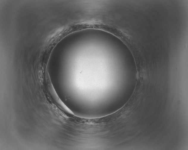 X0000078021398200611031444