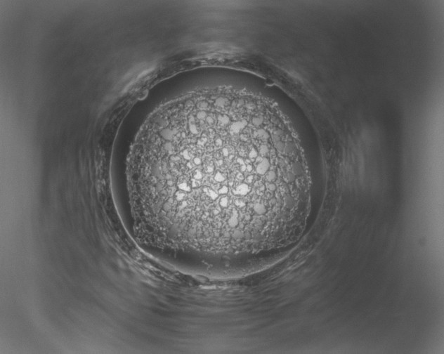 X0000078021399200611031444