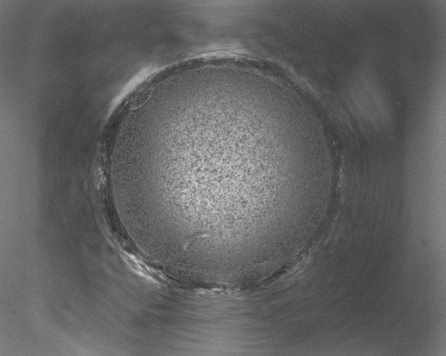 X0000078021400200611031444