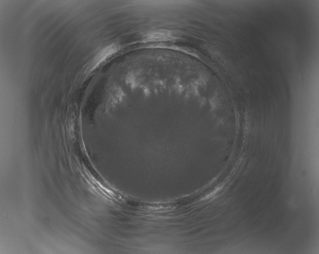 X0000078021401200611031444