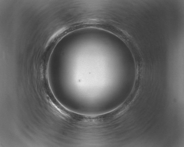 X0000078021402200611031444