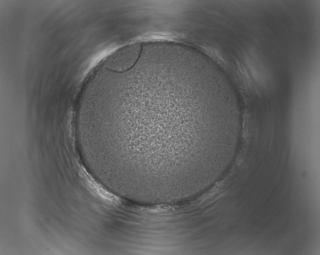 X0000078021404200611031444