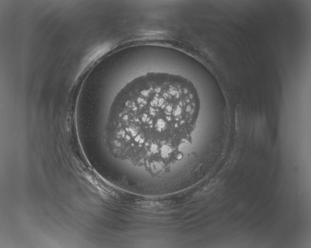 X0000078021405200611031444