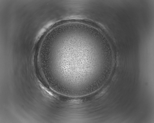 X0000078021406200611031444