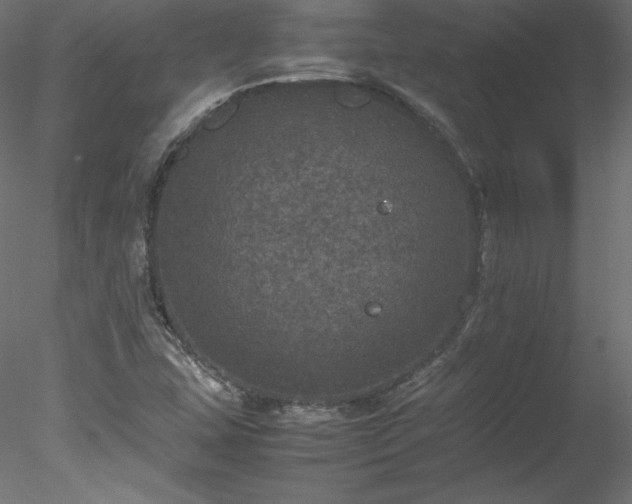 X0000078021407200611031444