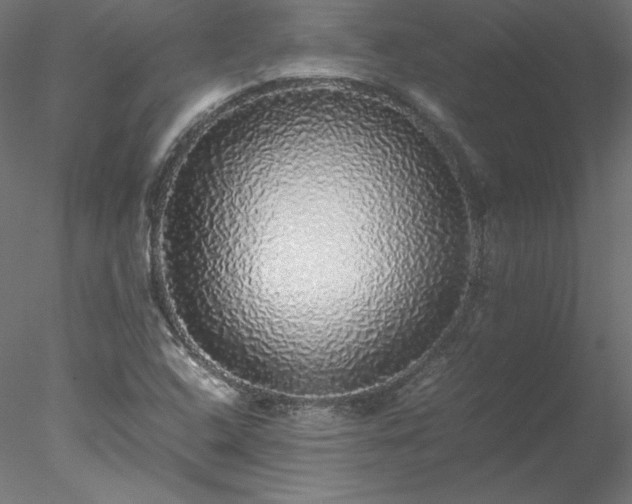 X0000078021408200611031444