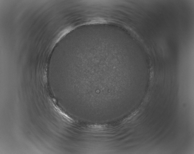 X0000078021409200611031444