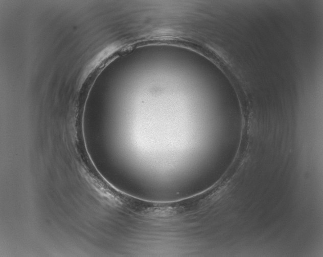 X0000078021410200611031444