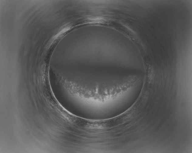 X0000078021411200611031444