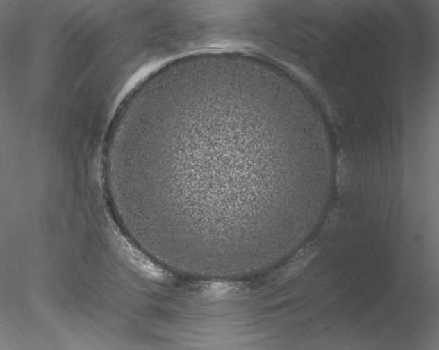 X0000078021412200611031444