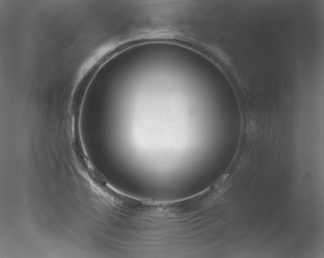 X0000078021414200611031444