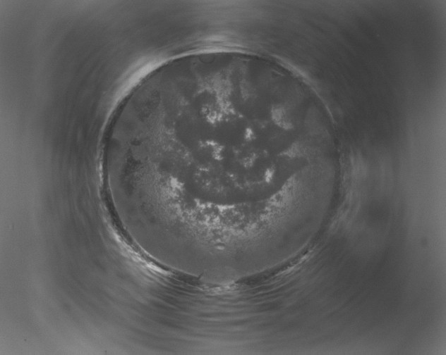 X0000078021415200611031444