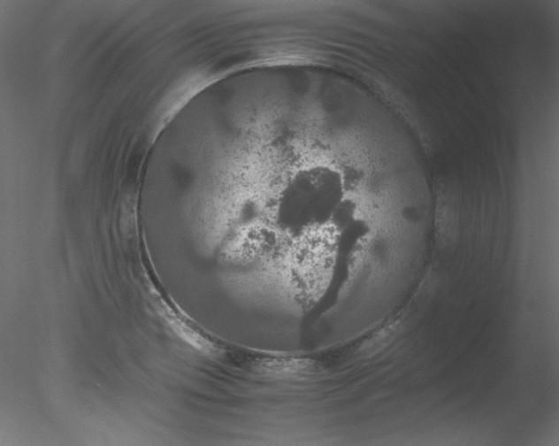 X0000078021417200611031444