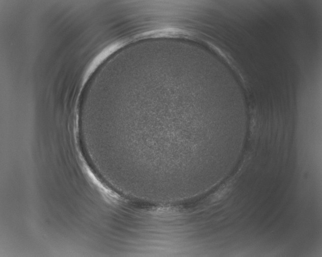 X0000078021418200611031444